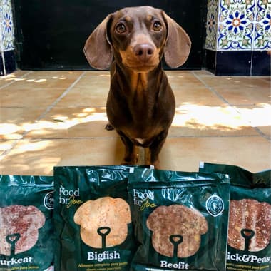 O nosso segredo 🤫 A dona dá-me a melhor comida, respeitando os meus gostos. Eu adoro a de frango. Frango 🐥 é a minha perdição. @foodforjoe prepara-a com legumes e tudo o que é necessário para uma dieta completa. É delicioso. Fácil, basta descongelar e servir (a dona agora aquece-o um pouco).